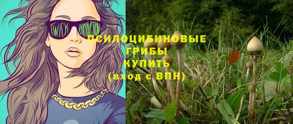 СК Осташков