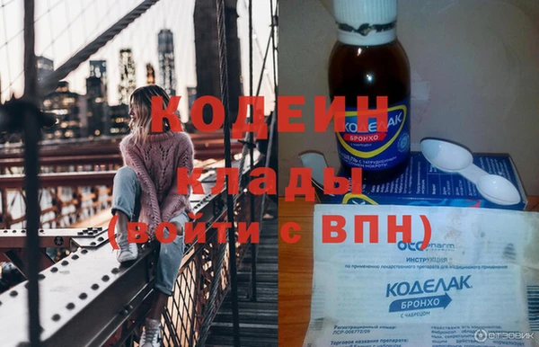 дурь Няндома