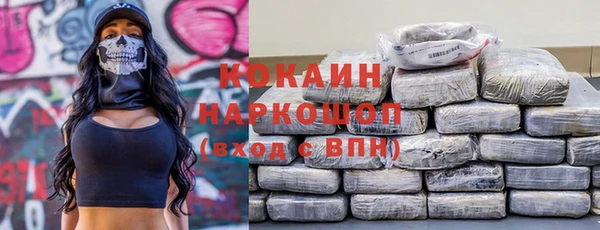 дурь Няндома