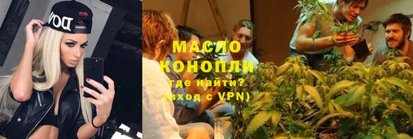 дурь Няндома