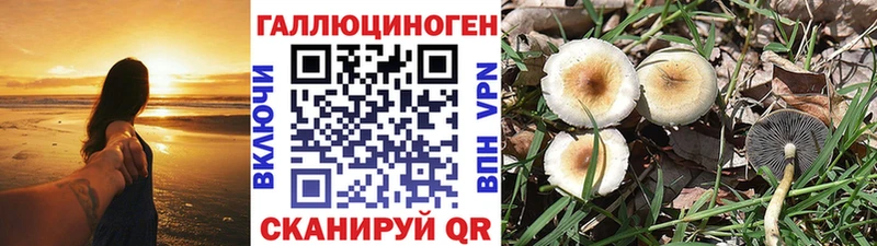 Купить закладки  Сергач  Псилоцибиновые грибы мухоморы 